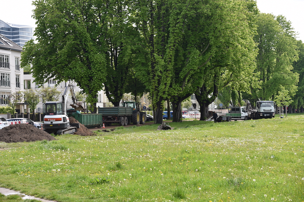 Sturmtief Ela – noch tiefe Wunden