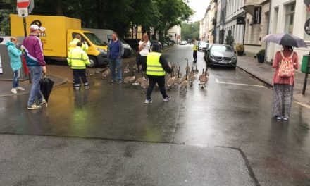 Tour de&nbsp;Gans