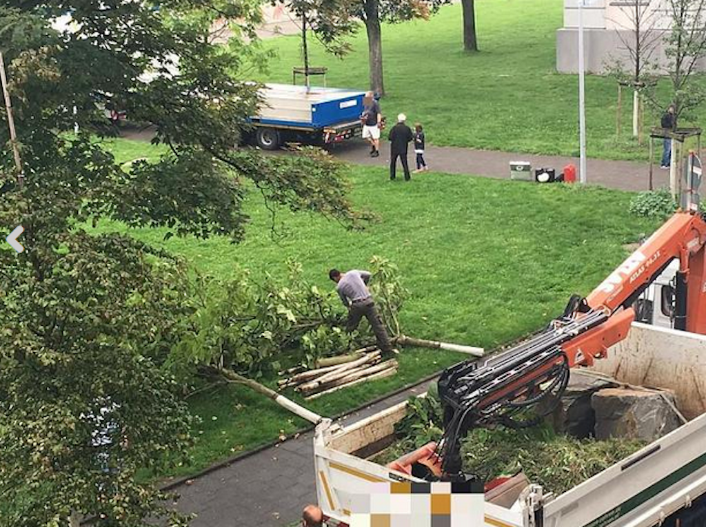 Die Baumlüge der Reuterkaserne – wir sind nicht bescheuert