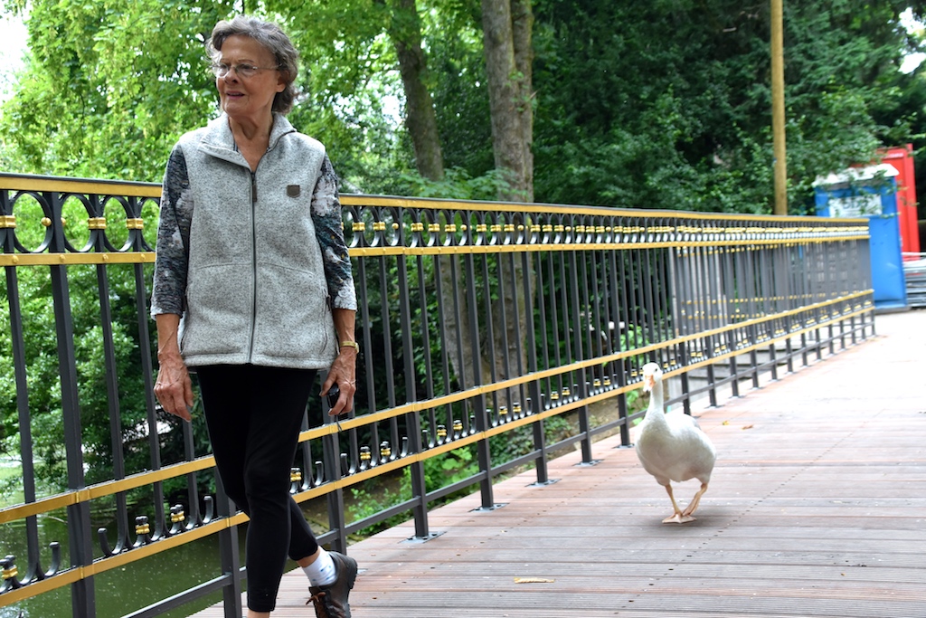 Düsseldorfer Schwanenmutter erhält Sonderpreis