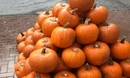 Halloween im Kurhaus im Volksgarten