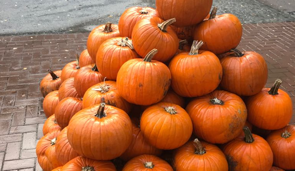 Halloween im Kurhaus im Volksgarten