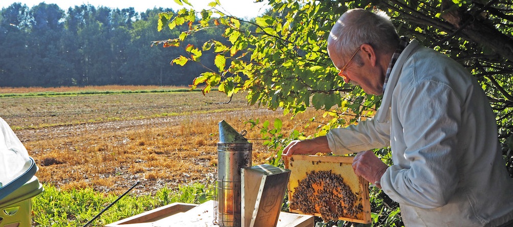 Glyphosat – booh geht’s noch?