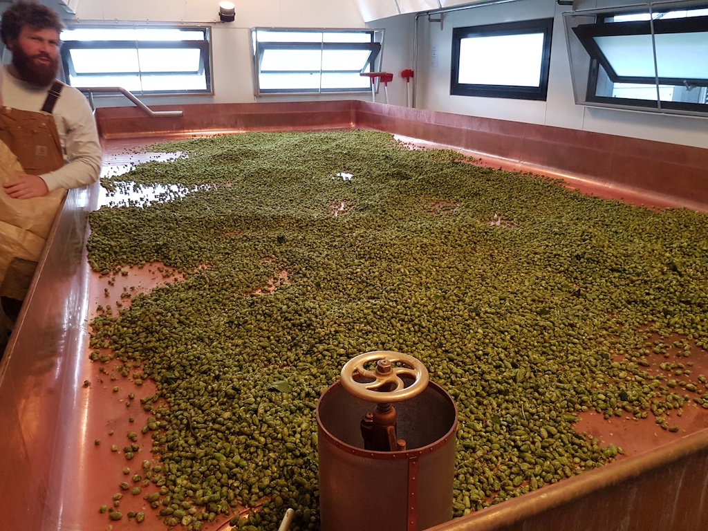 „Jrön- Donnerstag“