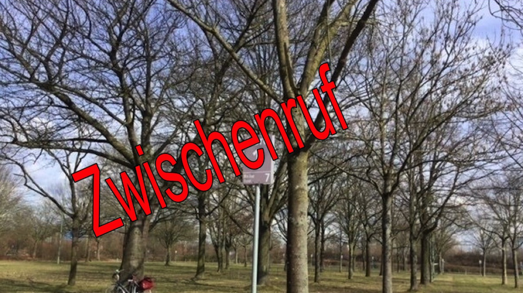 Zwischenruf: Ed Sheeran – für Dich soll’s 100 Bäume regnen…