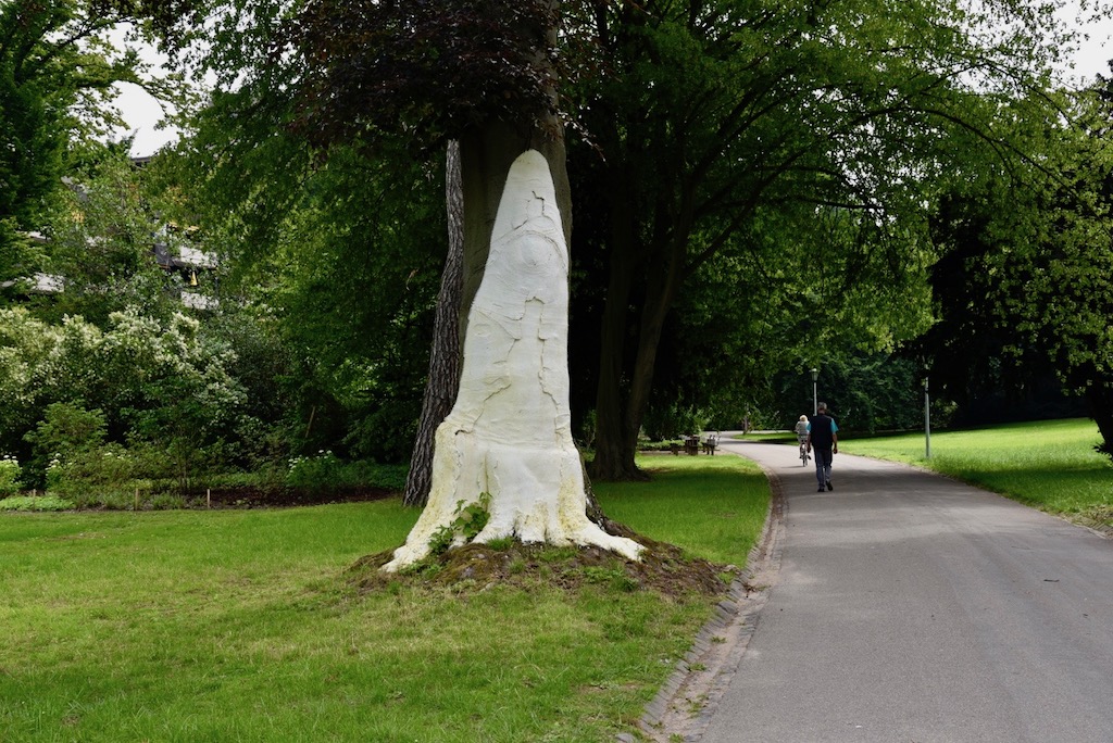 Sonnencreme für´n Buchenstamm