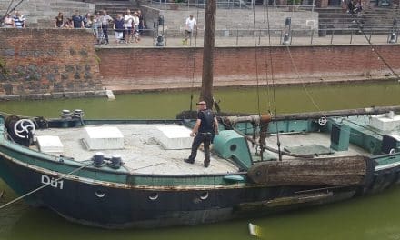 Gänsefamilie auf historischem Schiff gefangen