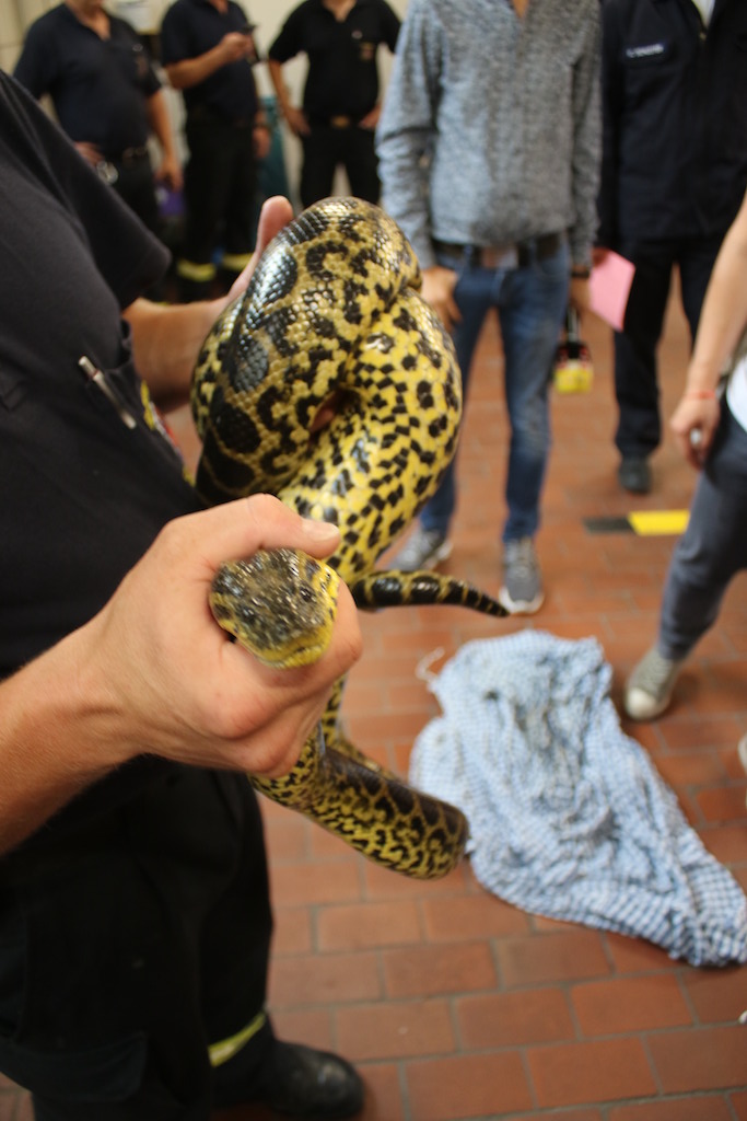 Foto: Landeshauptstadt Düsseldorf/Feuerwehr Foto: Landeshauptstadt Düsseldorf/Feuerwehr