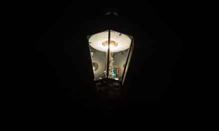 Eröffnung eines Lichterweges im Stadtwerkepark