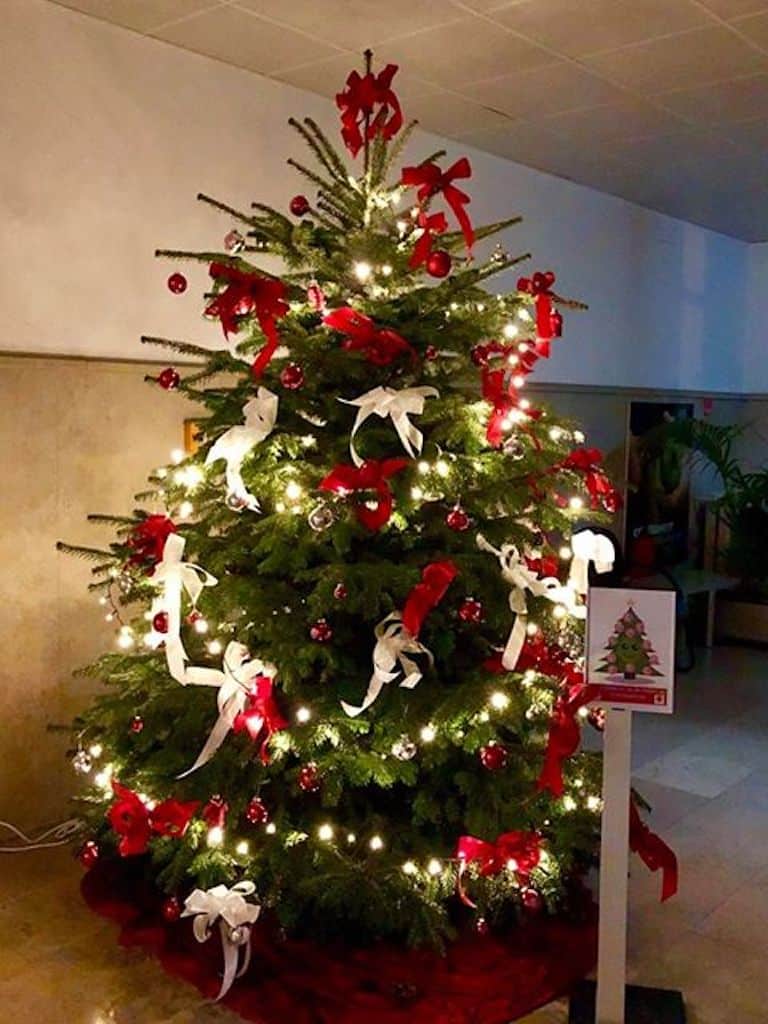 Fortuna Weihnachtsbaum bei der AOK Foto: AOK Fortuna Weihnachtsbaum bei der AOK Foto: AOK