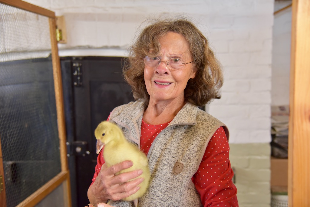 Ganter Max ist Pflegevater geworden