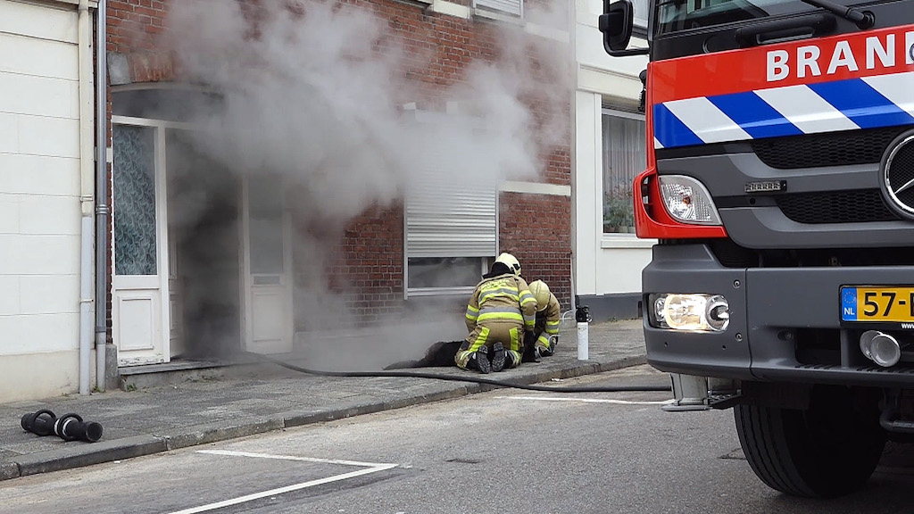 Wachhund wiederbelebt