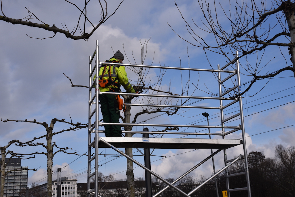 Gelbwesten am Kö-Bogen!
