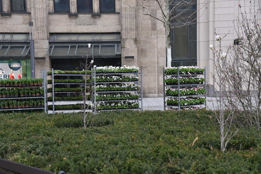 Corneliusplatz bekommt Frühjahrbepflanzung