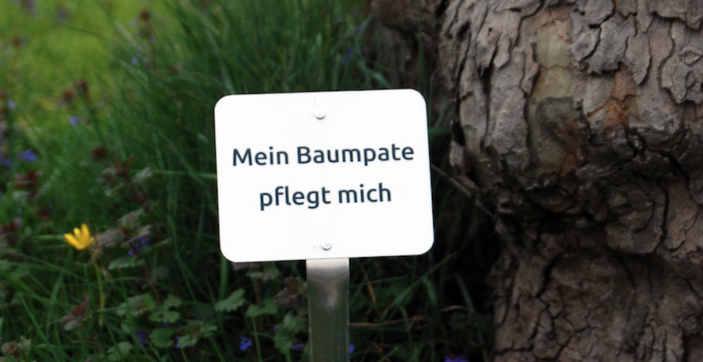 “Mein Baumpate pflegt mich”