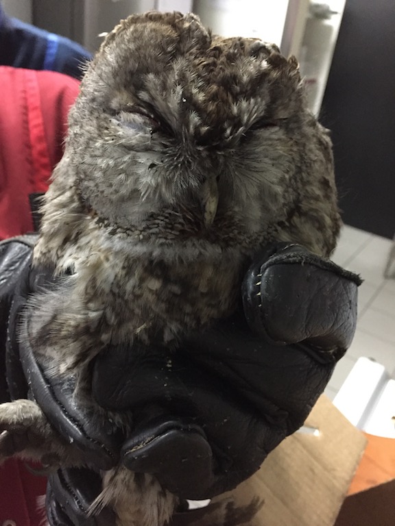 Foto: Feuerwehr Düsseldorf Foto: Feuerwehr Düsseldorf