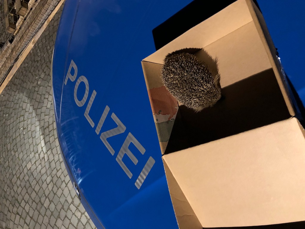 Igeliger Einsatz für die Polizei