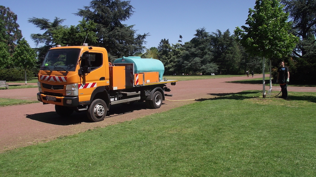 Bäume haben Durst — Bürger können helfen