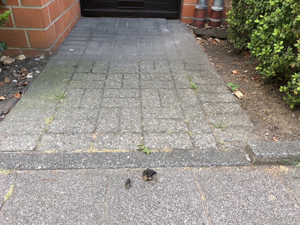 Muss das sein…