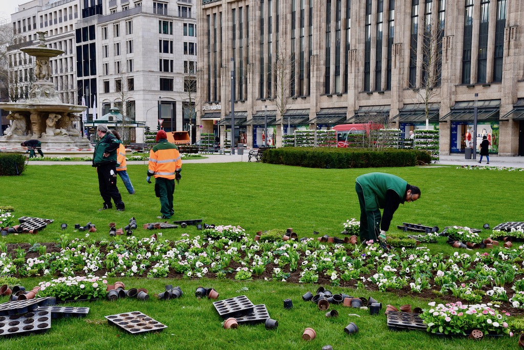 Frühlingserwachen in Düsseldorfs Grünanlagen