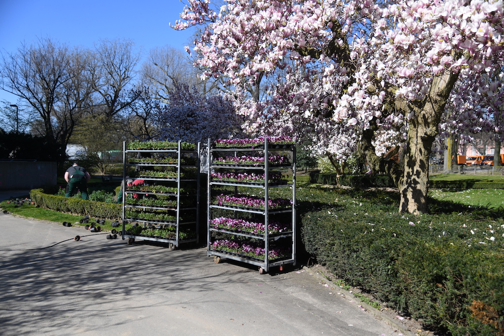 Samen, Stauden, Kräuter und jede Menge Gärtnertipps