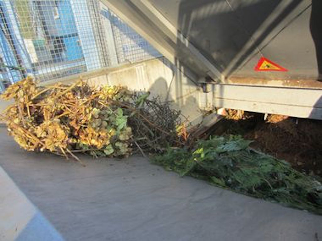 Umweltamt weitet mobile Grünschnittsammlung aus