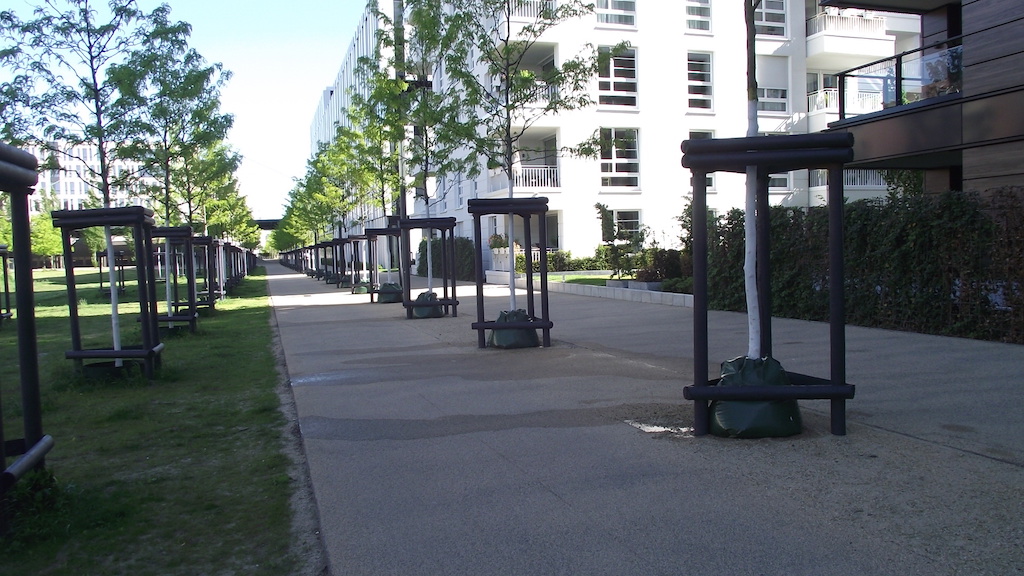 Städtische Jungbäume suchen helfende Hände für die Befüllung der Wassersäcke