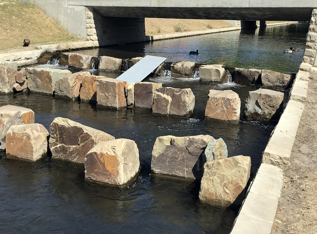Entenbrett an Fischtreppe im Hofgarten