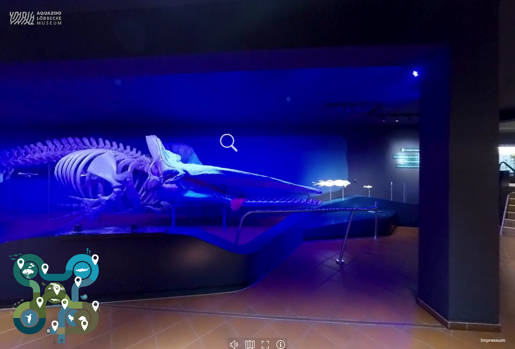 Virtuelle Tour durch das Aquazoo Löbbecke Museum