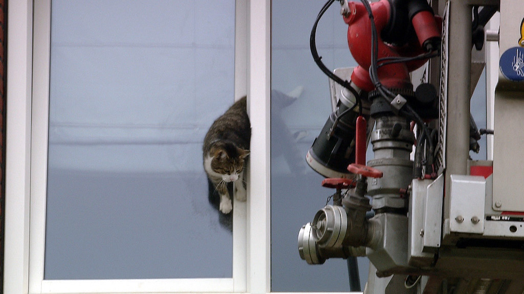 Feuerwehr rettet Katze Foto: Günter Jungmann