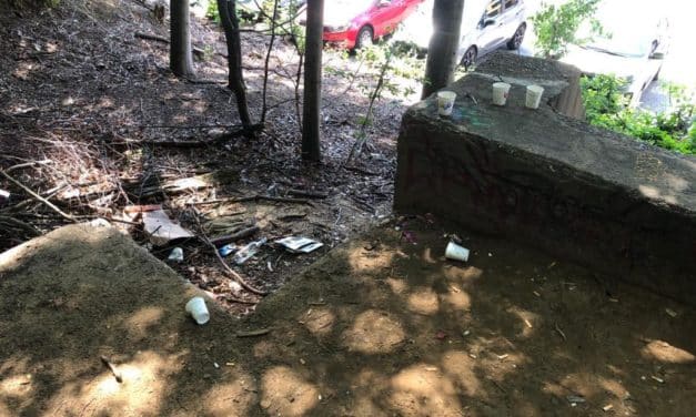 Scherben im Wald — muss das&nbsp;sein…?