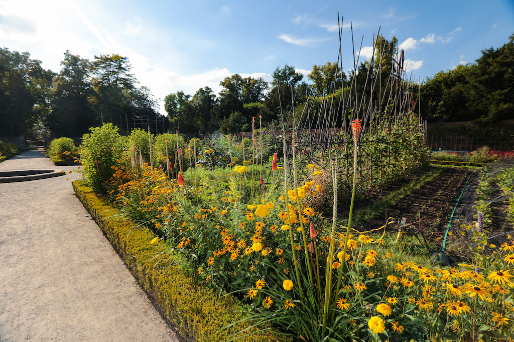 Staudenpracht im Nordpark und im Schlosspark Benrath