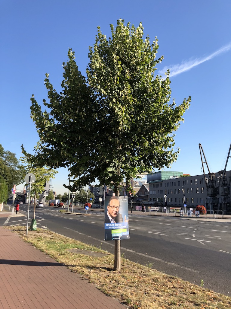 Nur Bild am Baum - braucht kein Mensch Foto: LOKALBÜRO Nur Bild am Baum - braucht kein Mensch Foto: LOKALBÜRO