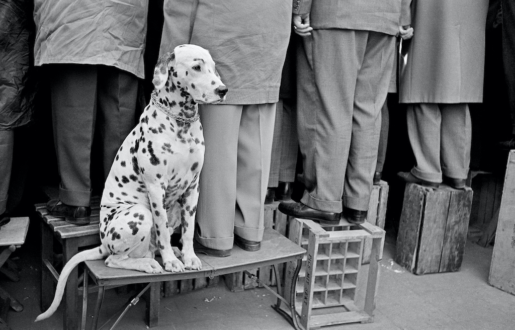 Die Leica Galerie Düsseldorf präsentiert Werke von Walter Vogel