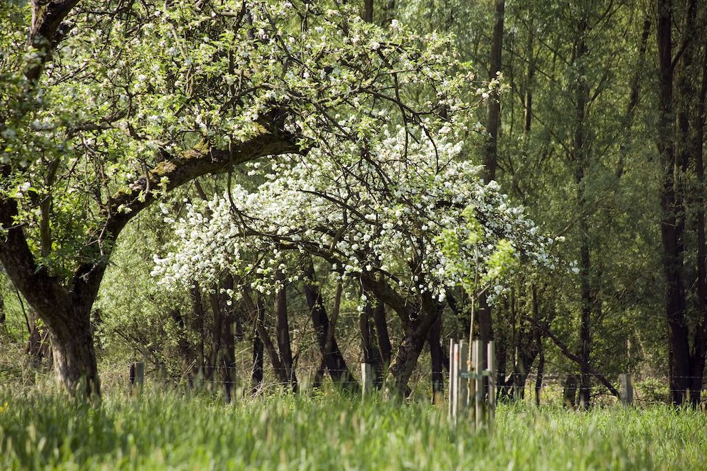 Herbstpflege in Düsseldorfer Naturschutzgebieten