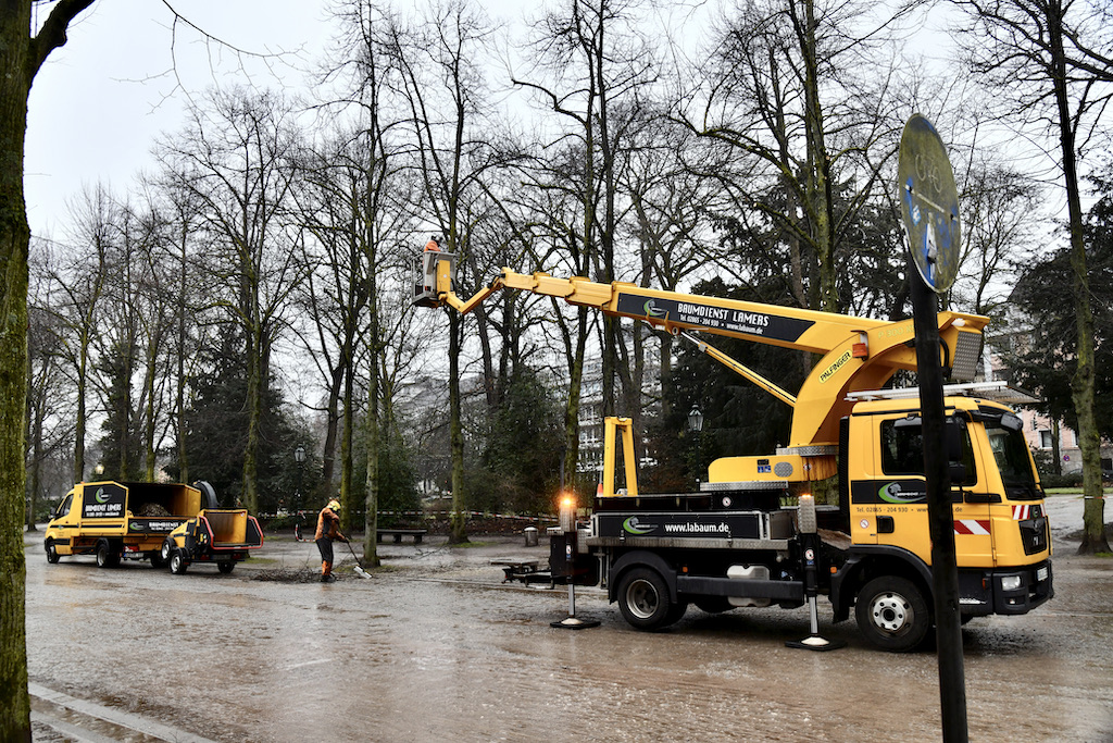 Stadtgärtner bereiten die Stadt auf den Frühling vor