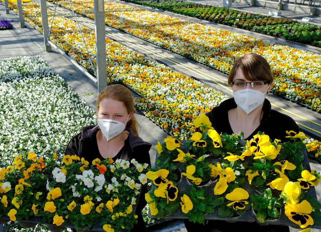 Auftakt zur Frühlingsbepflanzung: Fast 230.000 neue Blumen blühen bald in der Stadt