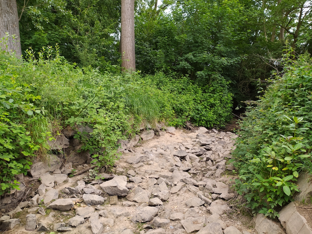 Vom Wert des Wassers