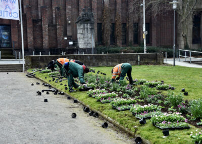 Frühjahrsbepflanzung hier Ehrenhof Foto: LOKALBÜRO