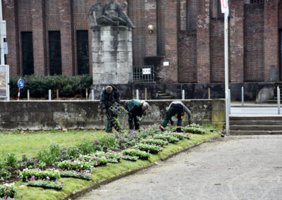 Frühjahrsbepflanzung hier Ehrenhof Foto: LOKALBÜRO