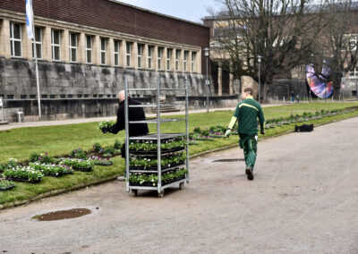 Frühjahrsbepflanzung hier Ehrenhof Foto: LOKALBÜRO