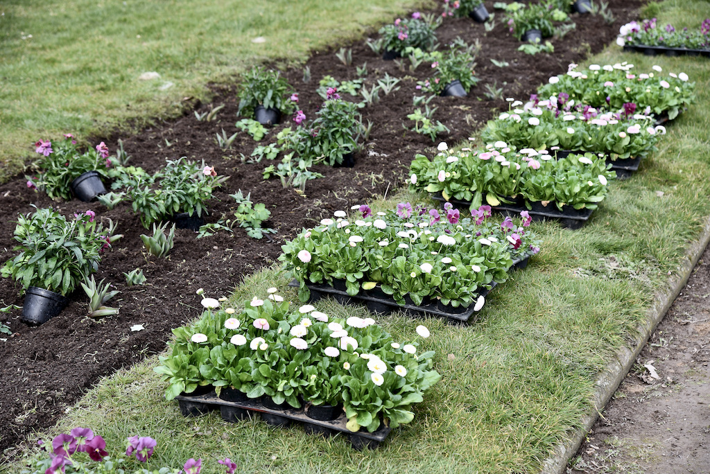 Jetzt beginnt die Pflanzzeit