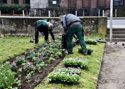 Frühjahrsbepflanzung hier Ehrenhof Foto: LOKALBÜRO