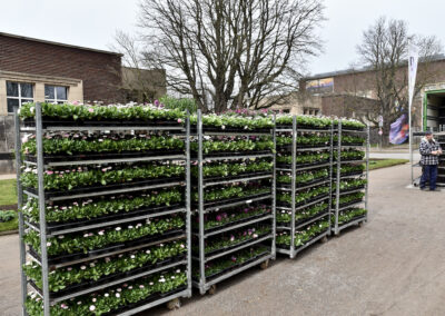 Frühjahrsbepflanzung hier Ehrenhof Foto: LOKALBÜRO