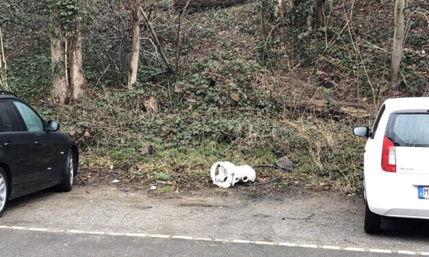 Muss das sein? Klo im&nbsp;Wald