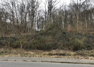 Lager im Busch Foto: LOKALBÜRO