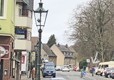 Der Waldputzer Foto: LOKALBÜRO