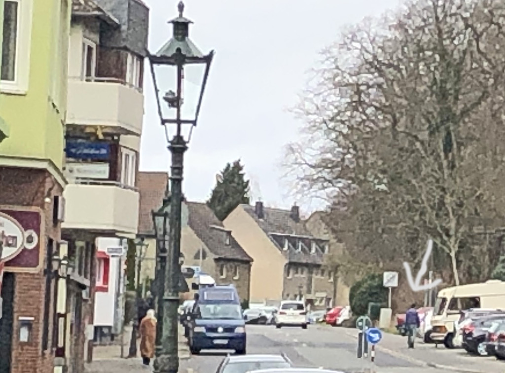 So sollte es sein! „Waldläufer“ entrümpelt Büsche