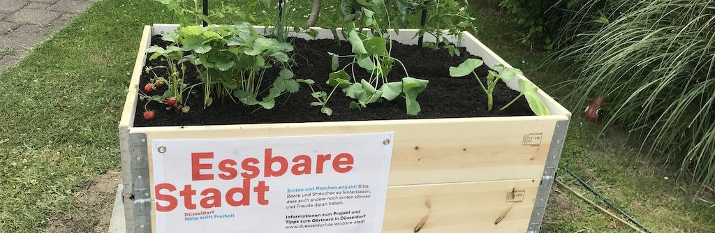 Förderprojekt “Essbare Stadt” wird fortgesetzt