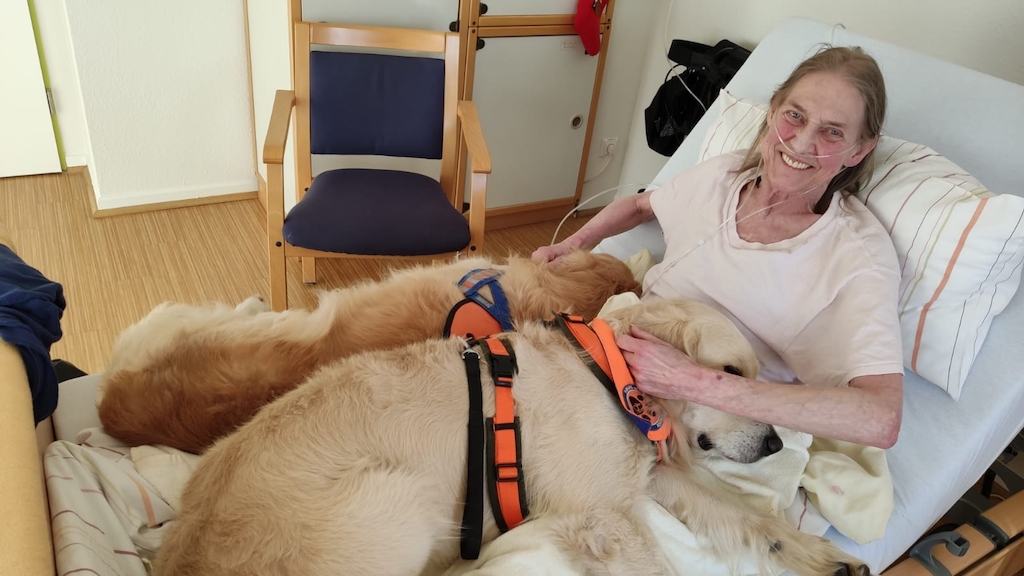 Würdevoll leben bis zuletzt